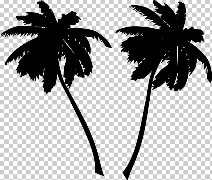 Arecaceae Sabal Palm PNG, Clipart, Arecaceae, Arecales, Black And White, Branch, Coconut Free PNG Download