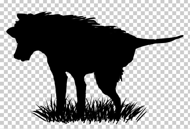 Dog Mustang Snout Mammal Mane PNG, Clipart, Black, Black And White, Canidae, Carnivoran, Character Free PNG Download