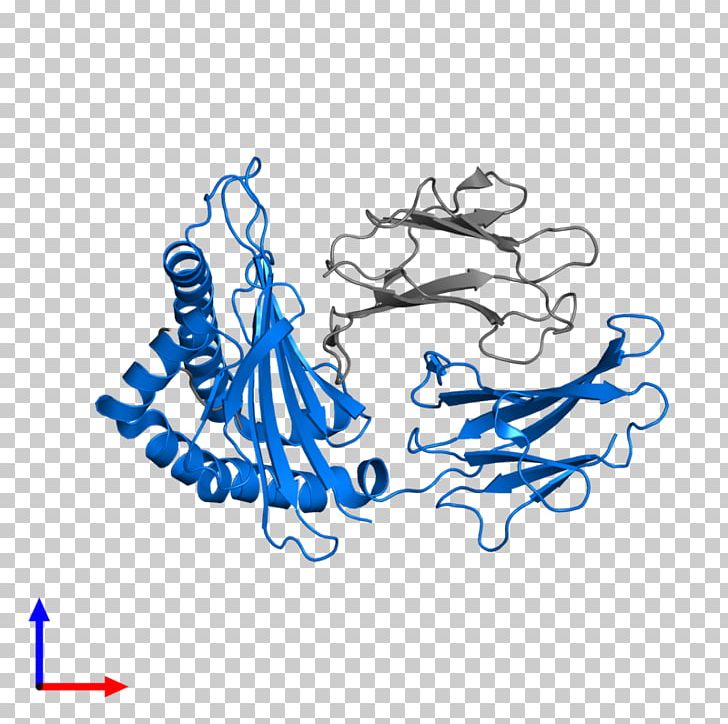 Human Leukocyte Antigen HLA-B HLA-DM MHC Class II Peptide PNG, Clipart, 4 F, Area, Art, Artwork, Blue Free PNG Download