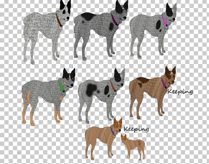 Dog Breed Wildlife Razas Nativas Vulnerables PNG, Clipart, Animals, Breed, Carnivoran, Dog, Dog Breed Free PNG Download