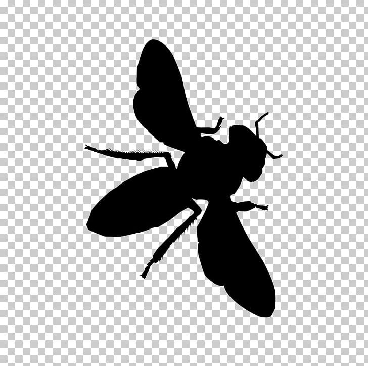 Insect Honey Bee Pollinator Black And White PNG, Clipart, Animal, Animals, Arthropod, Bee, Black And White Free PNG Download