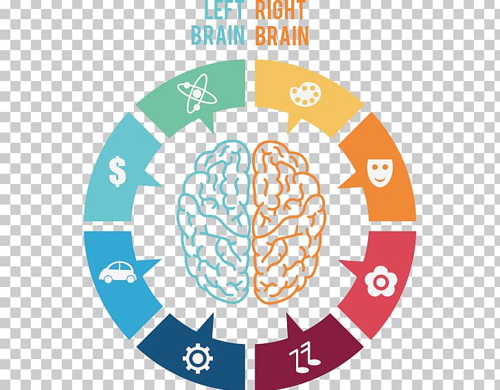 Brain Icon PNG, Clipart, Agy, Area, Brain Mapping, Brain Vector, Circle Free PNG Download