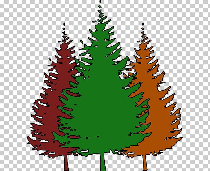 Christmas Tree Spruce Fir Pine Christmas Ornament PNG, Clipart, Christmas, Christmas Decoration, Christmas Ornament, Christmas Tree, Conifer Free PNG Download