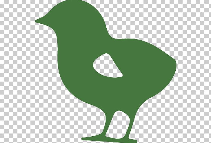Cygnini Farm Goose Water Bird PNG, Clipart, Alimento Saludable, Beak, Bird, Chicken, Cygnini Free PNG Download