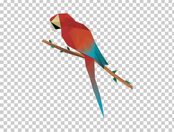 Hummingbird Parrot Polygon Geometry PNG, Clipart, Animals, Beak, Bird, Common Pet Parakeet, Drawing Free PNG Download