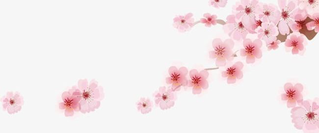 Romantic Sakura Japanese Cartoon Decoration PNG, Clipart, Backgrounds, Blossom, Blossoms, Breeze, Cartoon Free PNG Download