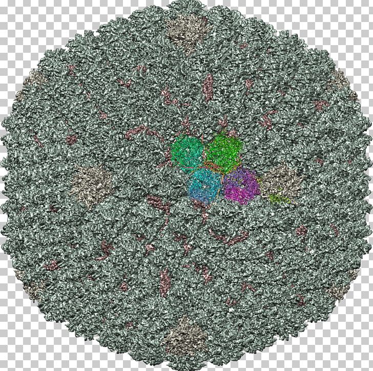 Wool Tree PNG, Clipart, Grass, Human Tlymphotropic Virus, Nature, Tree, Wool Free PNG Download