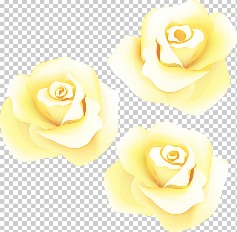 Three Flowers Three Roses Valentines Day PNG, Clipart, Cut Flowers, Floribunda, Flower, Garden Roses, Hybrid Tea Rose Free PNG Download