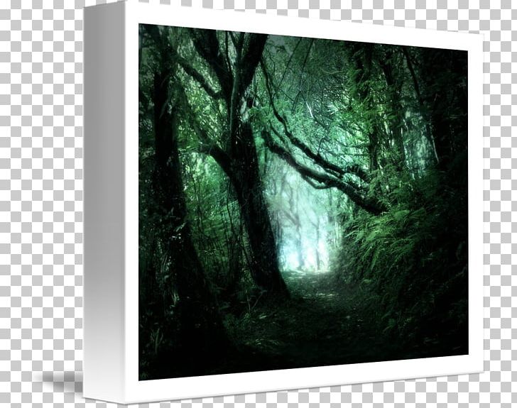Forest Frames Stock Photography Tree Green PNG, Clipart, Forest, Green, Nature, Painting, Path Watercolor Free PNG Download
