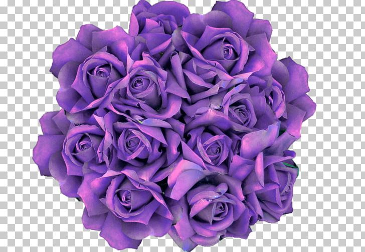 Garden Roses Cut Flowers PNG, Clipart, Artificial Flower, Blue Rose, Cut Flowers, Deviantart, Drawing Free PNG Download