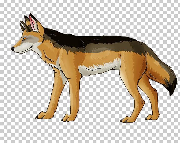 Red Fox Coyote Gray Wolf Red Wolf Jackal PNG, Clipart, Carnivoran, Character, Coyote, Dog Like Mammal, Fauna Free PNG Download