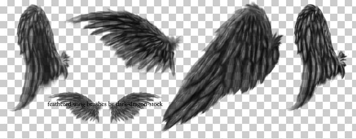 Bird Angel Wing PNG, Clipart, Aile, Angel Wing, Animals, Art, Beak Free PNG Download