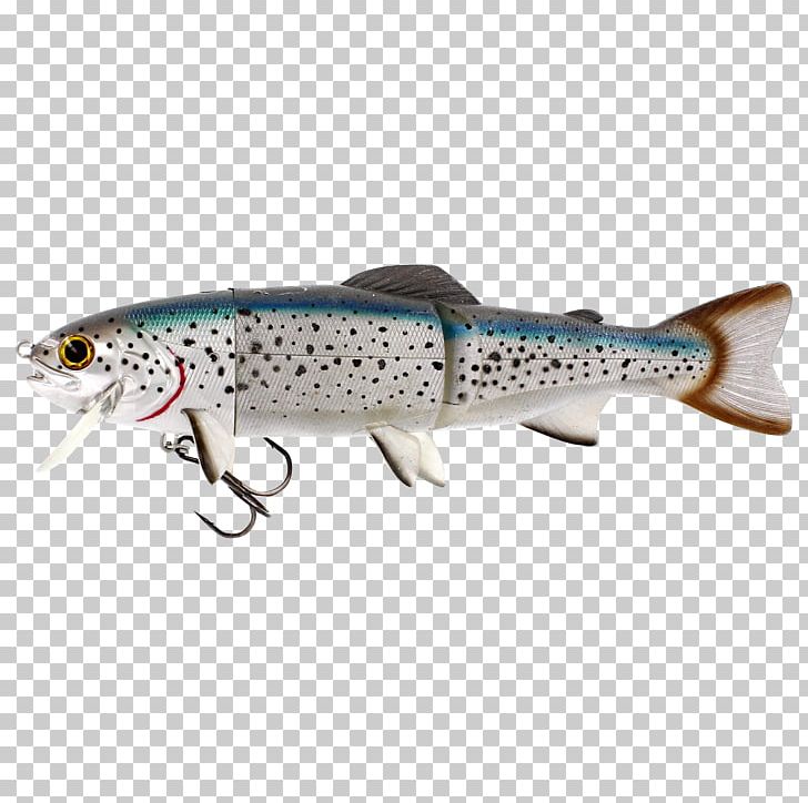 Fishing Baits & Lures Northern Pike Trout Salmonids PNG, Clipart, Angling, Artificial, Atlantic Salmon, Bony Fish, Coastal Cutthroat Trout Free PNG Download