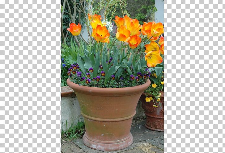 Flowerpot Garden Terracotta Houseplant Annual Plant PNG, Clipart, Annual Plant, Container Garden, Crock, Flower, Flowering Plant Free PNG Download