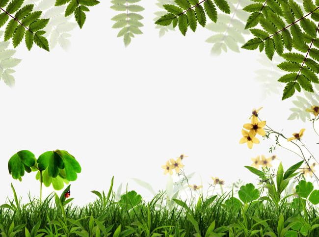 Spring Green Background Border PNG, Clipart, Border Clipart, Environmental, Environmental Protection, Flowers, Frame Free PNG Download