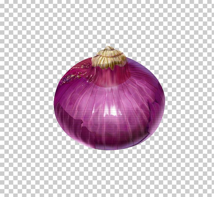 Onion Computer File PNG, Clipart, Bright, Bright Light, Bright Light Effect, Brightness, Bright Star Free PNG Download