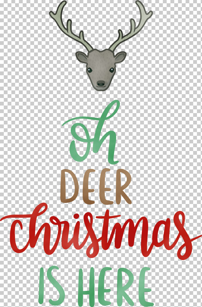 Reindeer PNG, Clipart, Antler, Christmas Is Here, Deer, Meter, Paint Free PNG Download