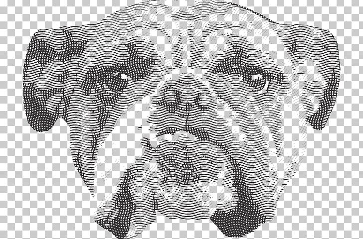 Dog Breed Non-sporting Group Bulldog Snout Smiley PNG, Clipart, Black, Breed, Bulldog, Carnivoran, Cat Like Mammal Free PNG Download