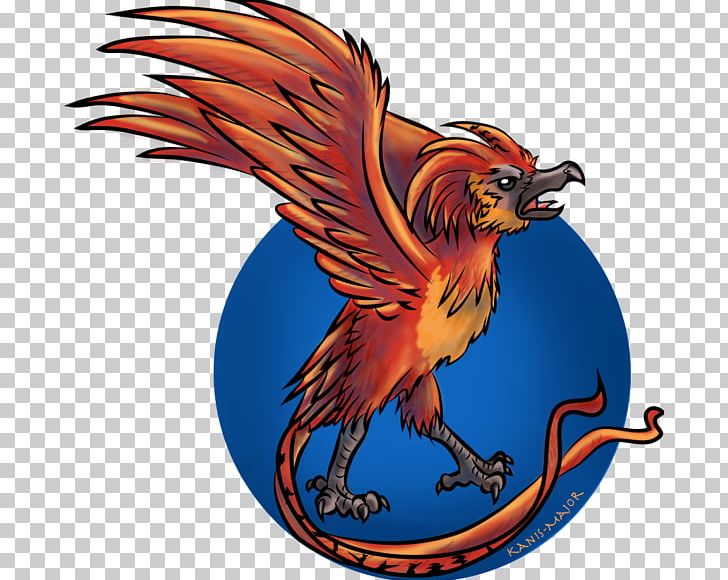 Fawkes Phoenix Drawing Digital Art PNG, Clipart, Art, Beak, Bird, Bird Of Prey, B Major Free PNG Download