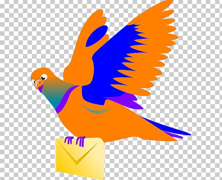 Homing Pigeon Columbidae Rock Dove Bird PNG, Clipart, Artwork, Beak, Bird, Bird Flight, Columbidae Free PNG Download