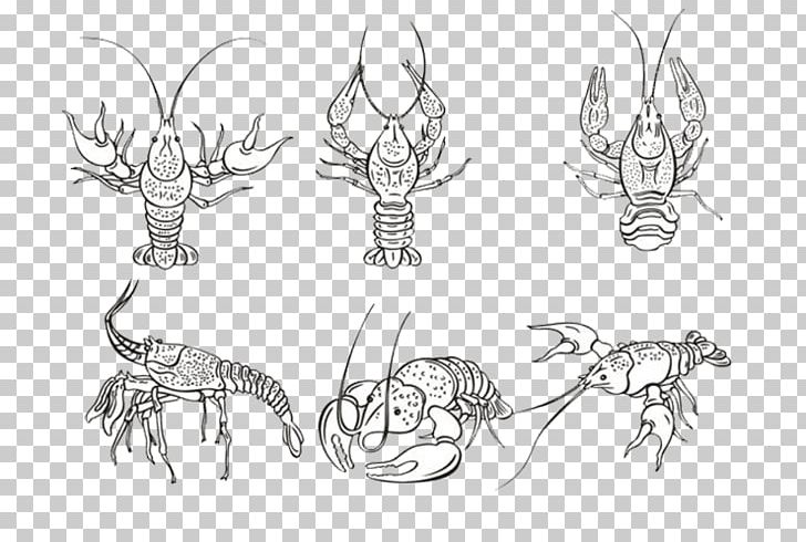 Lobster Palinurus Elephas PNG, Clipart, Action Figure, Animal, Animals, Artwork, Black And White Free PNG Download