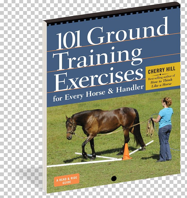 101 Ground Training Exercises For Every Horse & Handler Equestrian PNG, Clipart, Advertising, Animals, Book, Exercise, Grass Free PNG Download