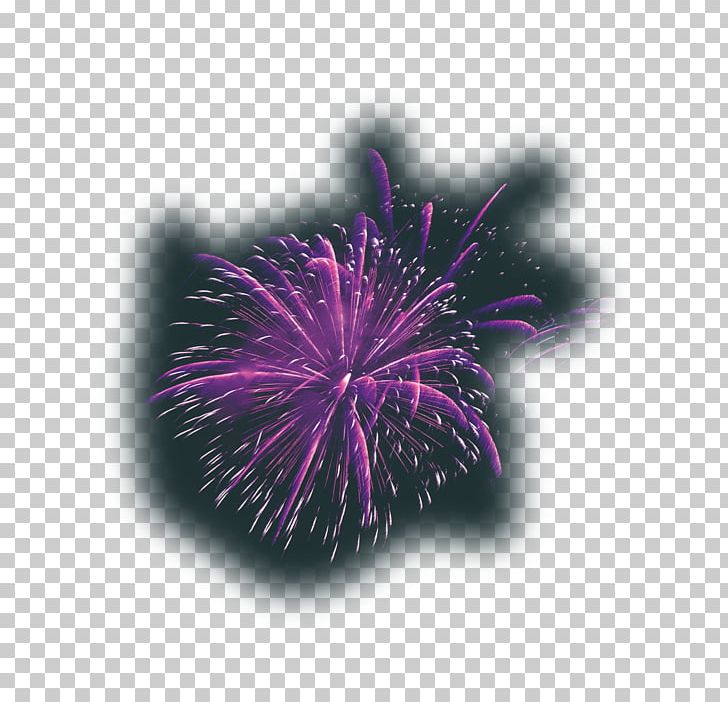 adobe fireworks download free full version