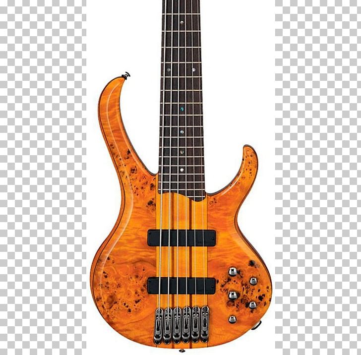 Contrabass Guitar Electric Guitar Ibanez String Instruments PNG, Clipart, Acoustic Electric Guitar, Double Bass, Ibanez, Ibanez Gio Gsr206 Electric Bass, Ibanez Sr300eb Electric Bass Free PNG Download