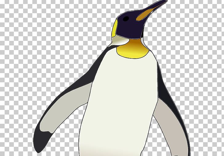 Emperor Penguin Antarctica Bird King Penguin PNG, Clipart, Animals, Antarctica, Beak, Bird, Chinstrap Penguin Free PNG Download