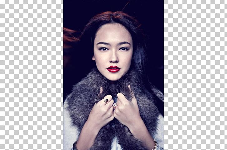 Fiona Fussi Asia's Next Top Model PNG, Clipart, Asias Next Top Model Cycle 5, Beauty, Black Hair, Brown Hair, Celebrities Free PNG Download