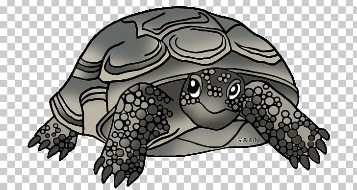 Georgia Box Turtle Gopher Tortoise Reptile PNG, Clipart, Aldabra Giant Tortoise, Box Turtle, Desert Tortoise, Emydidae, Fauna Free PNG Download