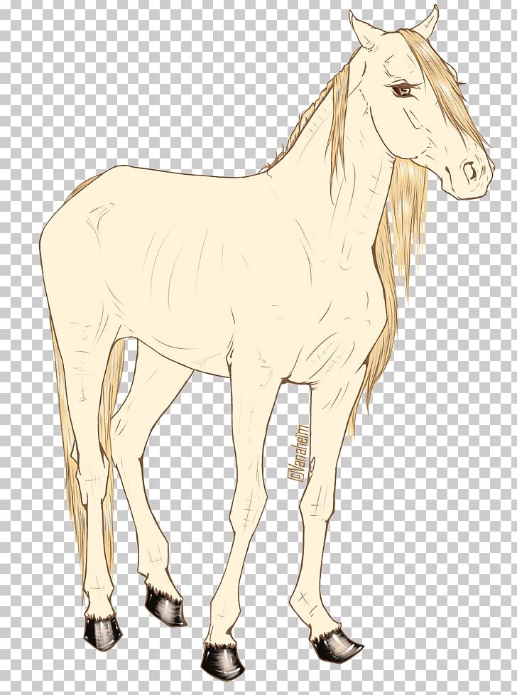 Mule Foal Stallion Mustang Mare PNG, Clipart, Animal, Bridle, Colt, Donkey, Fauna Free PNG Download