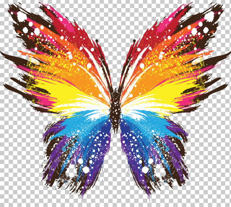 Feather PNG, Clipart, Butterfly, Feather, Insect, Mardi Gras, Moths And Butterflies Free PNG Download