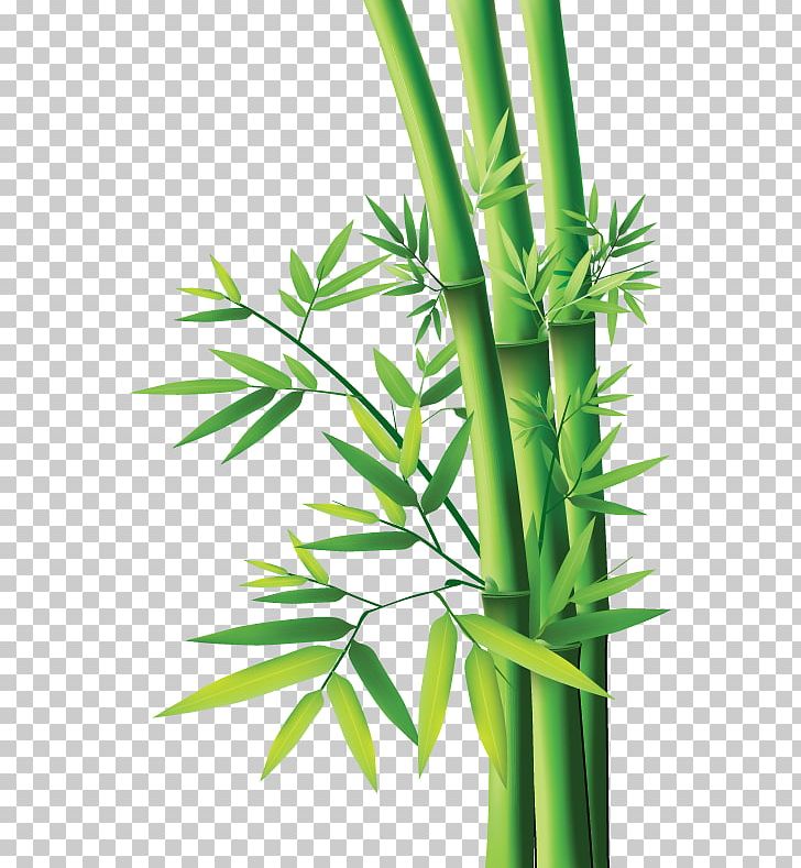 Tropical Woody Bamboos Bamboo Painting Bamboo Textile PNG, Clipart, Bamboo, Bamboo Leaf, Bamboo Painting, Bamboo Plant, Bamboos Free PNG Download