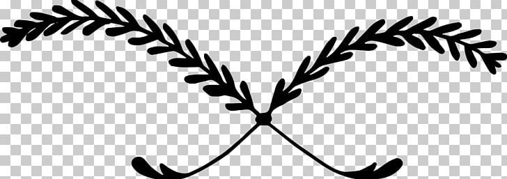 Twig Plant Stem Leaf White PNG, Clipart, Artwork, Beak, Black And White, Branch, Drawn Vector Free PNG Download