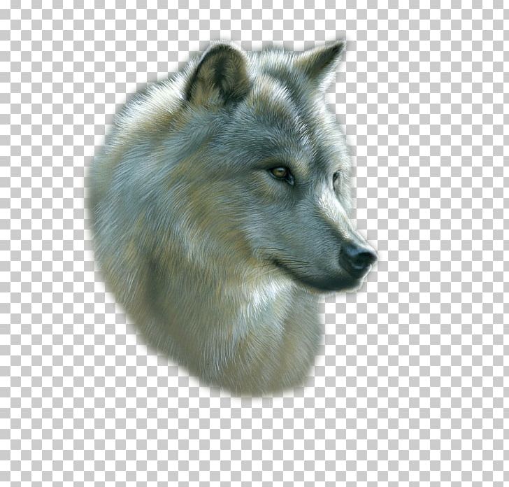 Gray Wolf Drawing Art Watercolor Painting PNG, Clipart, Animal, Art, Artist, Canis Lupus Tundrarum, Carl Brenders Free PNG Download