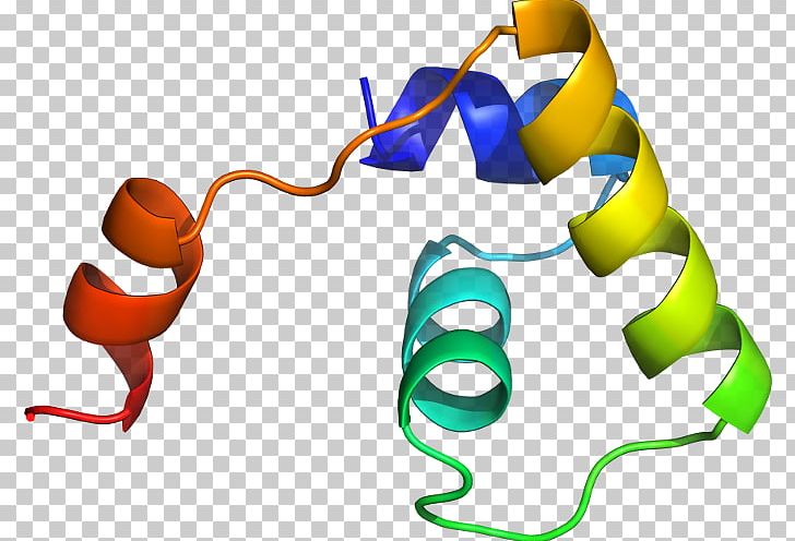 Line PNG, Clipart, Art, Artwork, Line, Phosphoribosyltransferase Free PNG Download