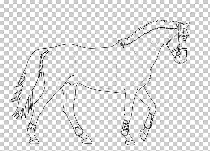 Mule Bridle Foal Stallion Colt PNG, Clipart, Angle, Animal, Animal Figure, Arm, Artwork Free PNG Download