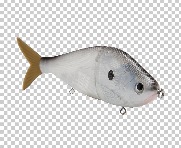 Plug Swimbait Fishing Baits & Lures Milkfish Perch PNG, Clipart, Bait, Black Silver, Bluegill, Bony Fish, Fish Free PNG Download