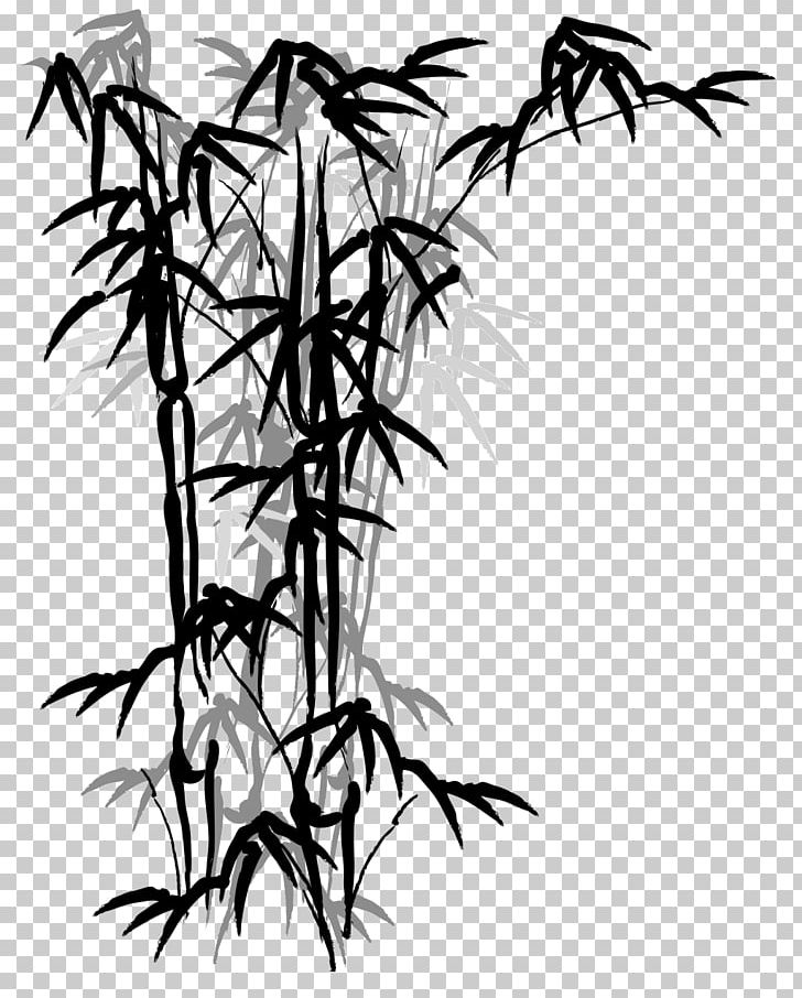 Tropical Woody Bamboos Bamboo Painting Drawing Fargesia Murielae PNG, Clipart, Art, Bamboo, Bamboo Textile, Black And White, Branch Free PNG Download