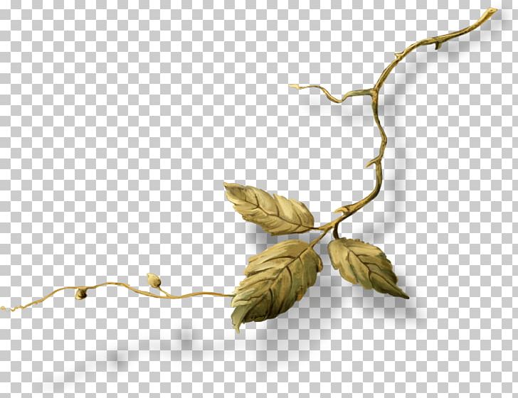 Twig Plant Stem Leaf PNG, Clipart, Branch, Dona, Leaf, Plant, Plant Stem Free PNG Download