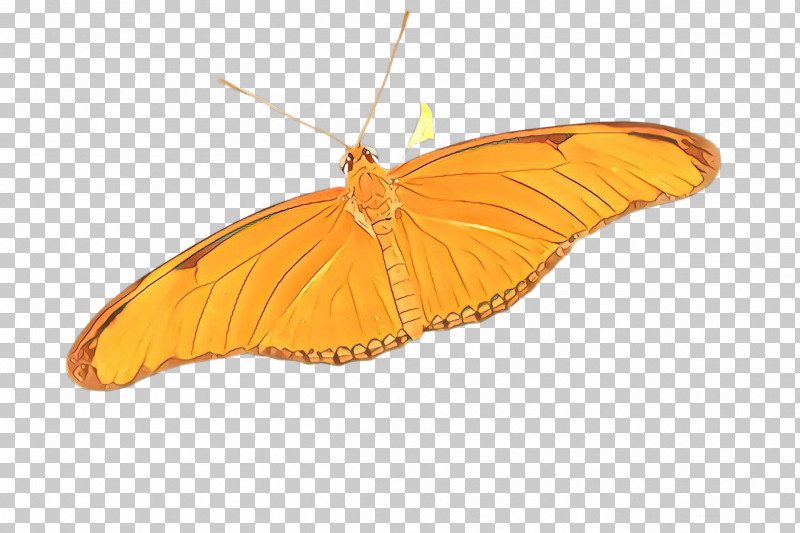 Orange PNG, Clipart, Brushfooted Butterfly, Butterfly, Insect, Moth, Moths And Butterflies Free PNG Download
