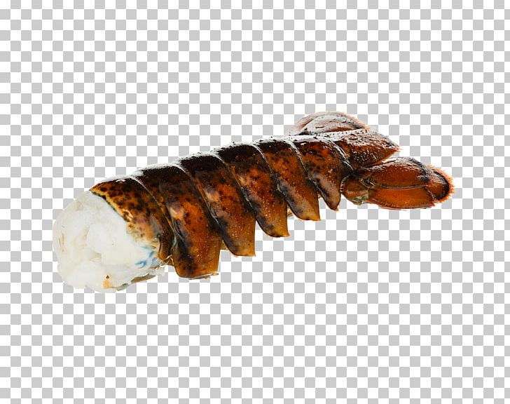 Seafood PNG, Clipart, Animal Source Foods, Frozen, Lobster, Others, Seafood Free PNG Download
