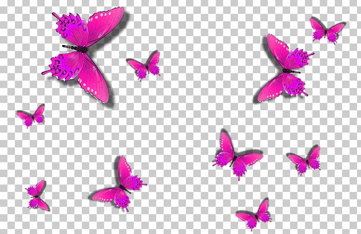 Butterfly Painting Wall Decal PNG, Clipart, Bedroom, Butterflies And Moths, Butterfly, Carpet, Color Free PNG Download