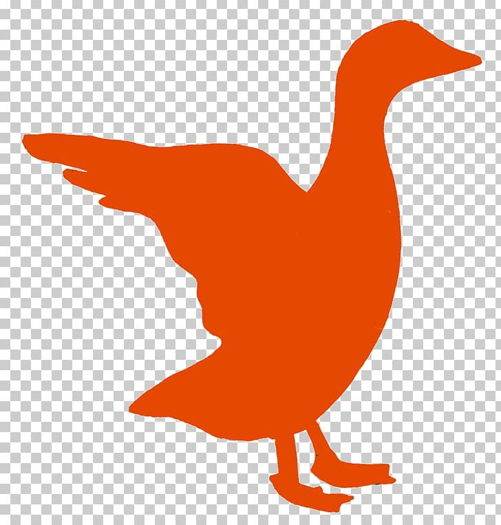 Duck Drake The Bookshop Chicken Goose Bookselling PNG, Clipart, 22 September, Animals, Beak, Bird, Birthday Free PNG Download
