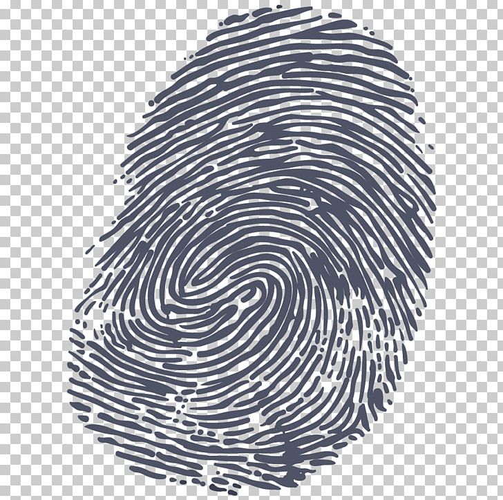 Fingerprint PNG, Clipart, Black And White, Circle, Clip, Computer Icons, Criminal Investigation Free PNG Download