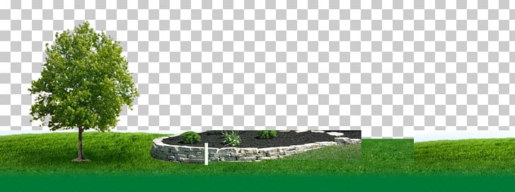 Tree Lawn Green Interdev PNG, Clipart, Energy, Field, Grass, Grasses, Grass Family Free PNG Download