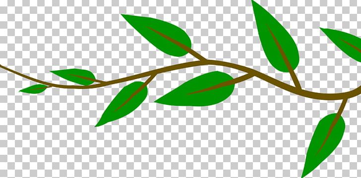 Twig Branch PNG, Clipart, Branch, Child, Clip Art, Flora, Grass Free PNG Download