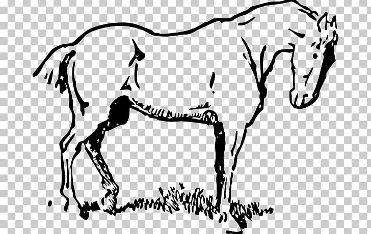Belgian Horse Arabian Horse Pony Black PNG, Clipart, Area, Art, Belgian Horse, Black, Carnivoran Free PNG Download