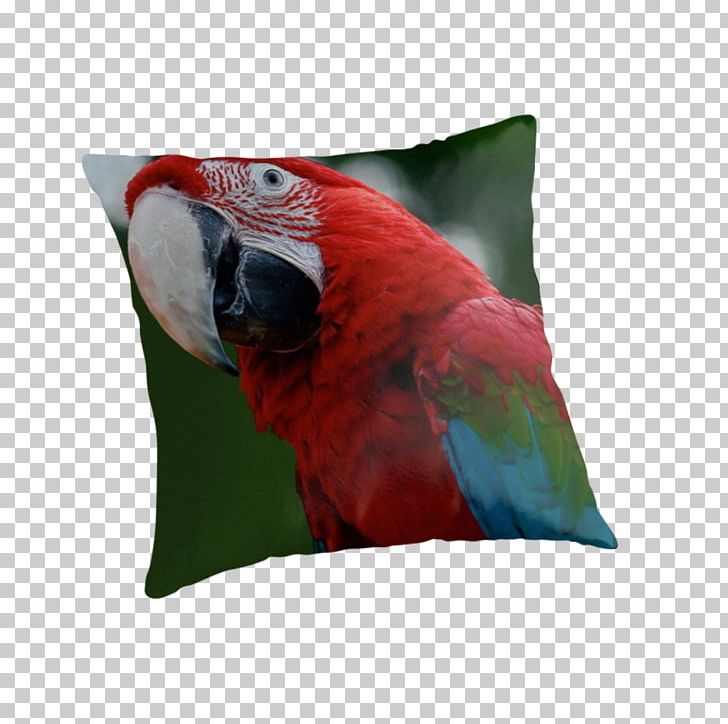 Cushion Throw Pillows Down Feather Couch PNG, Clipart, Beak, Bed, Bed Sheets, Bird, Blanket Free PNG Download